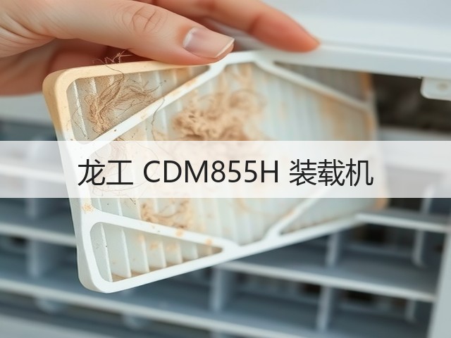 龙工 CDM855H 装载机(图1)