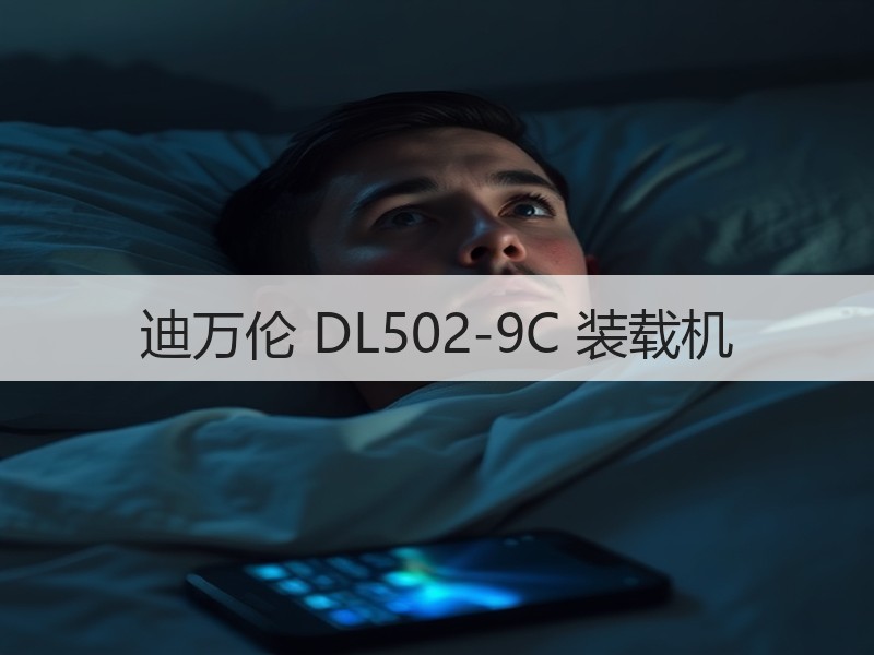 迪万伦 DL502-9C 装载机 迪万伦 DL502-9C 装载机