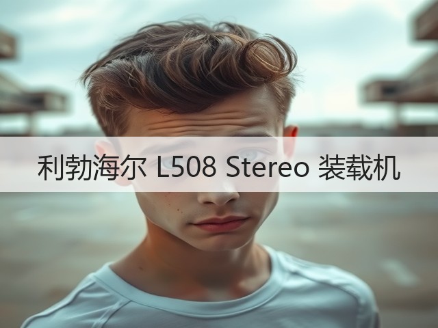 利勃海尔 L508 Stereo 装载机(图3)