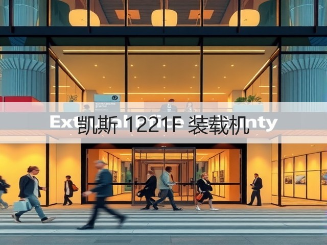 凯斯 1221F 装载机(图3)