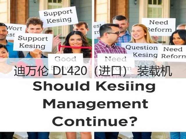 迪万伦 DL420(进口) 装载机(图2) 迪万伦 DL420(进口) 装载机(图2)
