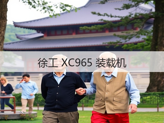 徐工 XC965 装载机(图3) 徐工 XC965 装载机(图3)