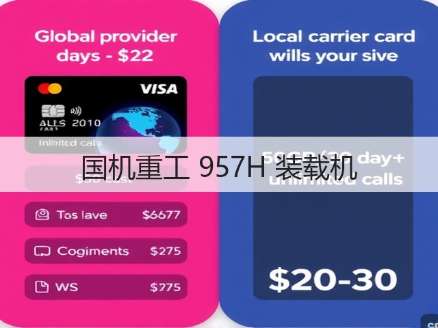 国机重工 957H 装载机(图2)