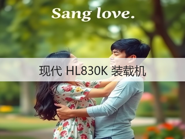 现代 HL830K 装载机(图3)