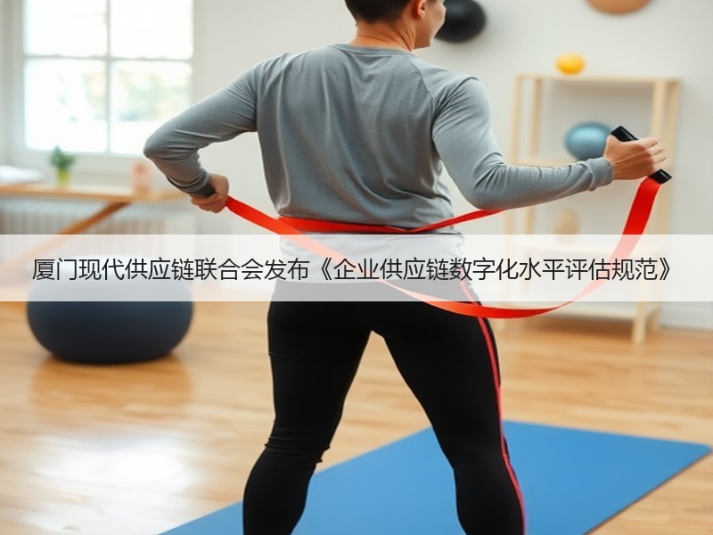 厦门现代供应链联合会发布《企业供应链数字化水平评估规范》