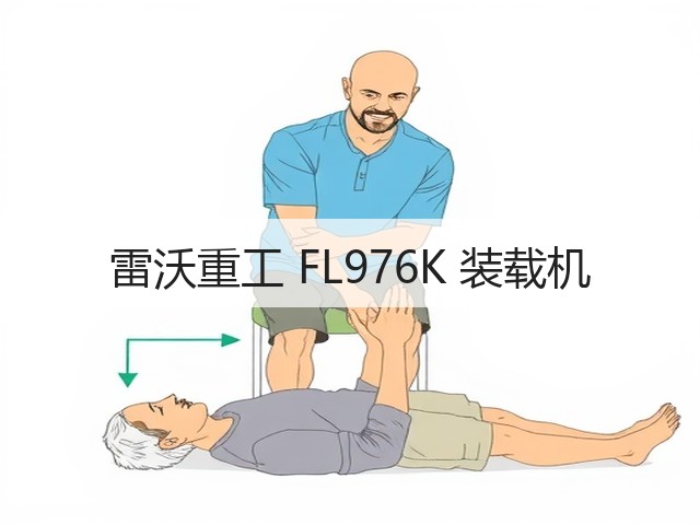 雷沃重工 FL976K 装载机(图3) 雷沃重工 FL976K 装载机(图3)