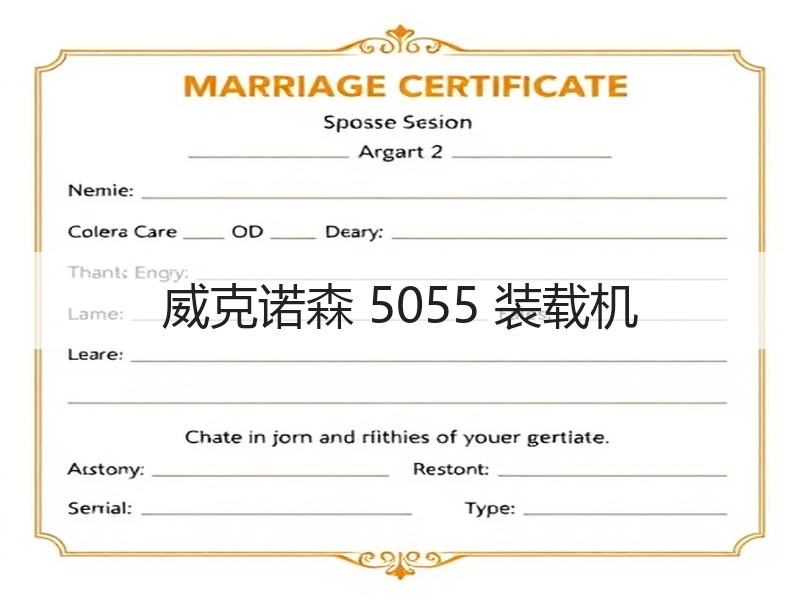威克诺森 5055 装载机