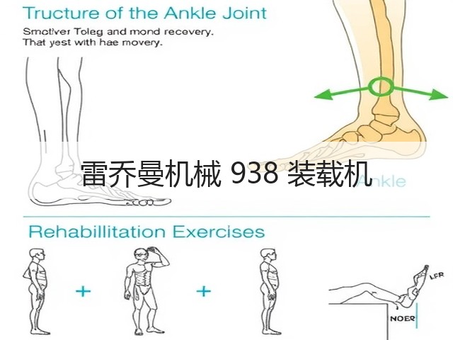 雷乔曼机械 938 装载机(图1)