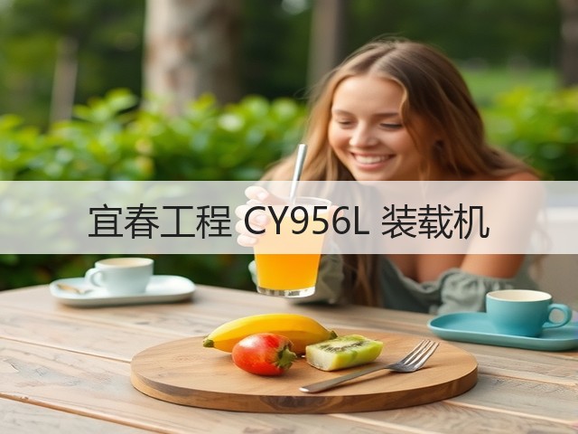 宜春工程 CY956L 装载机(图1) 宜春工程 CY956L 装载机(图1)