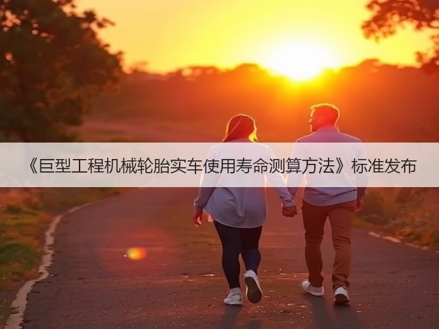 《巨型工程机械轮胎实车使用寿命测算方法》标准发布(图1)