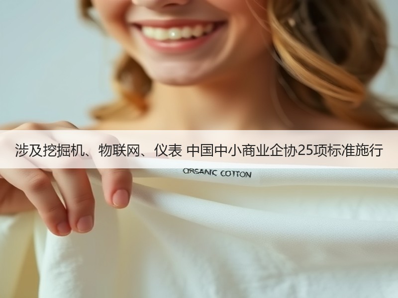 涉及挖掘机、物联网、仪表 中国中小商业企协25项标准施行 涉及挖掘机、物联网、仪表 中国中小商业企协25项标准施行