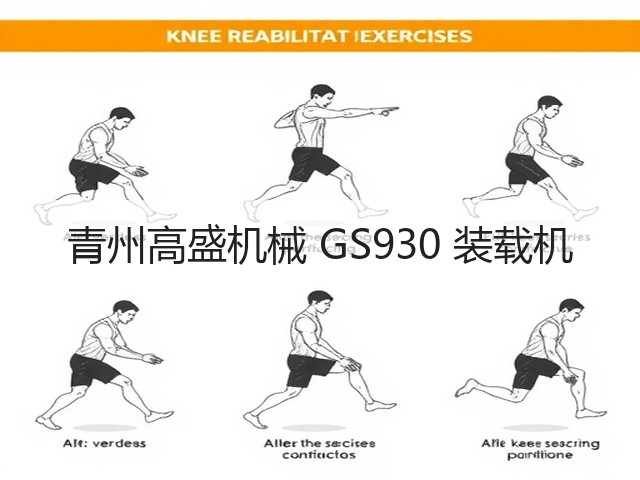 青州高盛机械 GS930 装载机(图3)