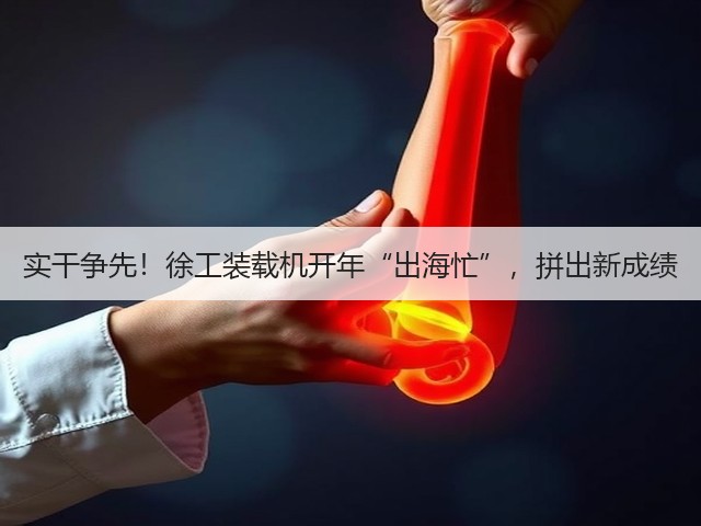 实干争先!徐工装载机开年“出海忙”,拼出新成绩(图3) 实干争先!徐工装载机开年“出海忙”,拼出新成绩(图3)