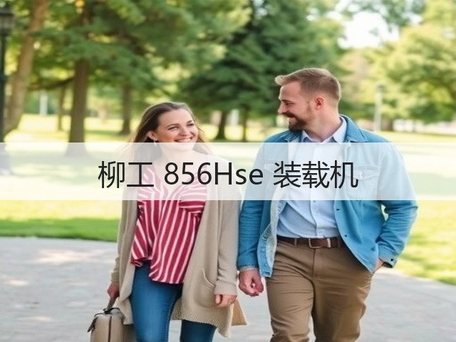 柳工 856Hse 装载机(图1) 柳工 856Hse 装载机(图1)