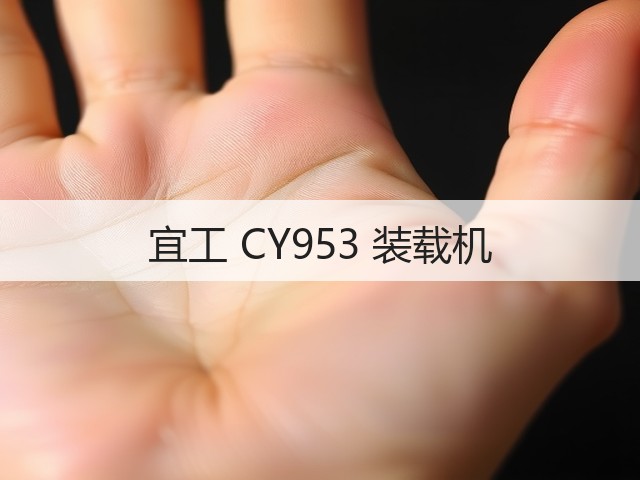 宜工 CY953 装载机(图1) 宜工 CY953 装载机(图1)