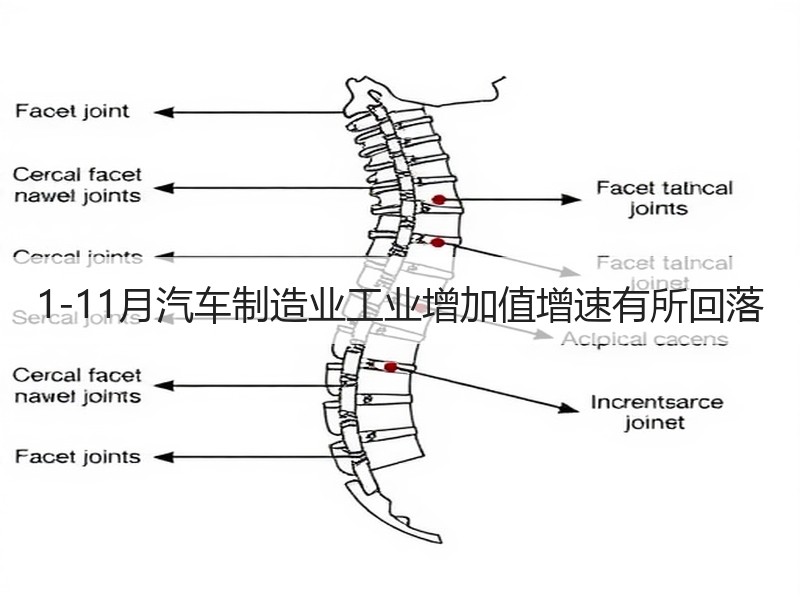 1-11月汽车制造业工业增加值增速有所回落 1-11月汽车制造业工业增加值增速有所回落