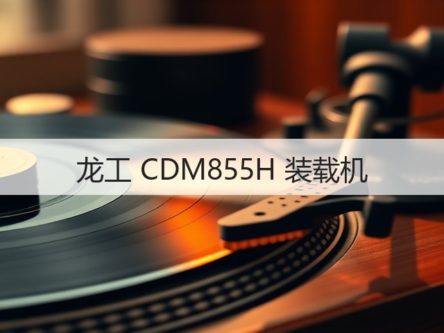 龙工 CDM855H 装载机(图2)