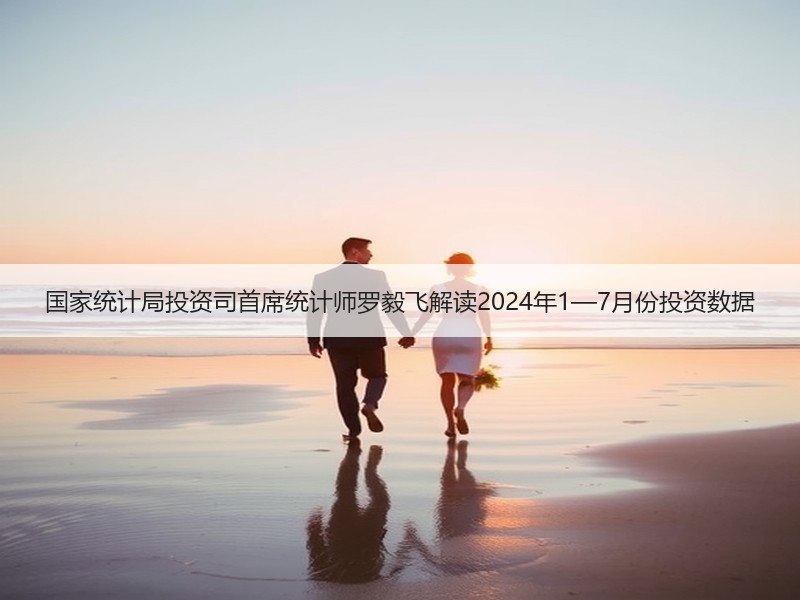 国家统计局投资司首席统计师罗毅飞解读2024年1—7月份投资数据