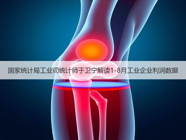 国家统计局工业司统计师于卫宁解读1-8月工业企业利润数据(图2) 国家统计局工业司统计师于卫宁解读1-8月工业企业利润数据(图2)