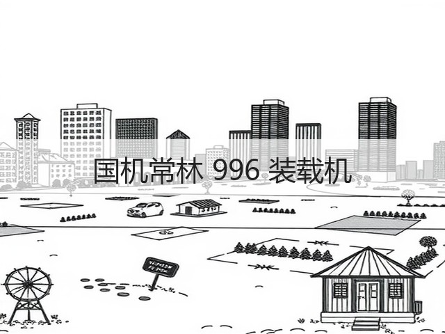 国机常林 996 装载机(图2)