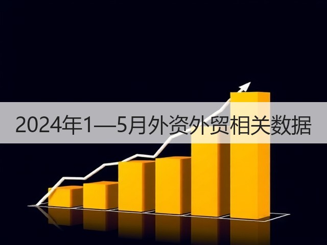 2024年1—5月外资外贸相关数据(图3) 2024年1—5月外资外贸相关数据(图3)