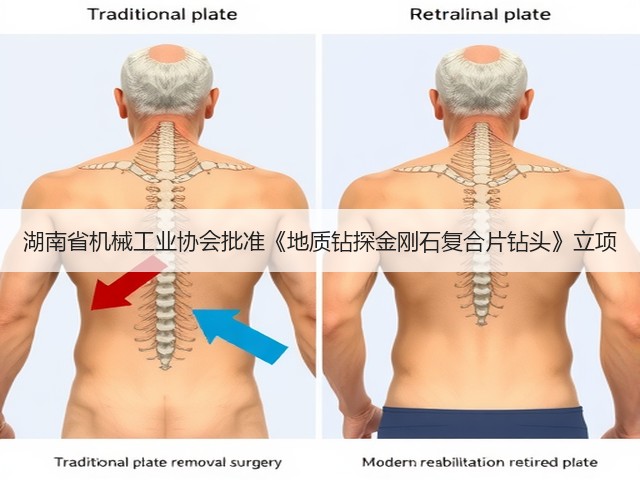 湖南省机械工业协会批准《地质钻探金刚石复合片钻头》立项(图3)