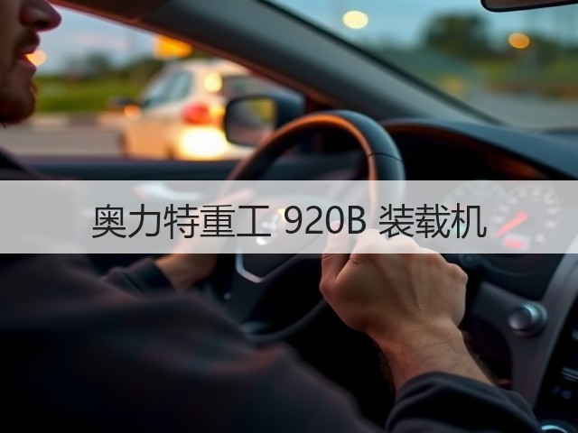 奥力特重工 920B 装载机(图2)