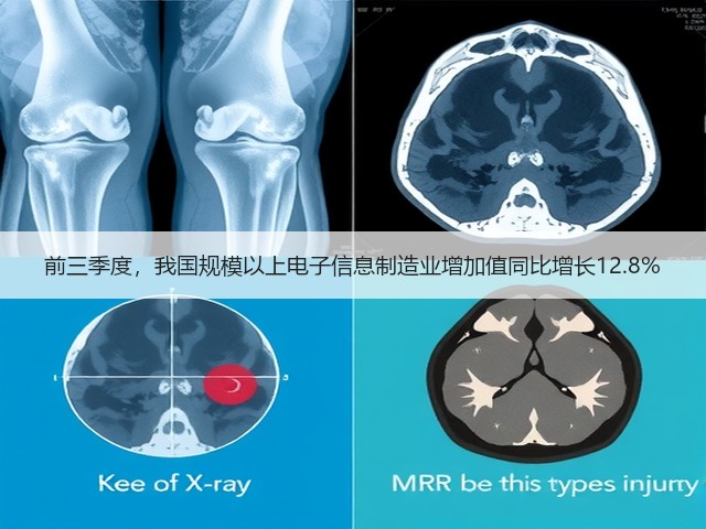 前三季度,我国规模以上电子信息制造业增加值同比增长12.8%(图2) 前三季度,我国规模以上电子信息制造业增加值同比增长12.8%(图2)