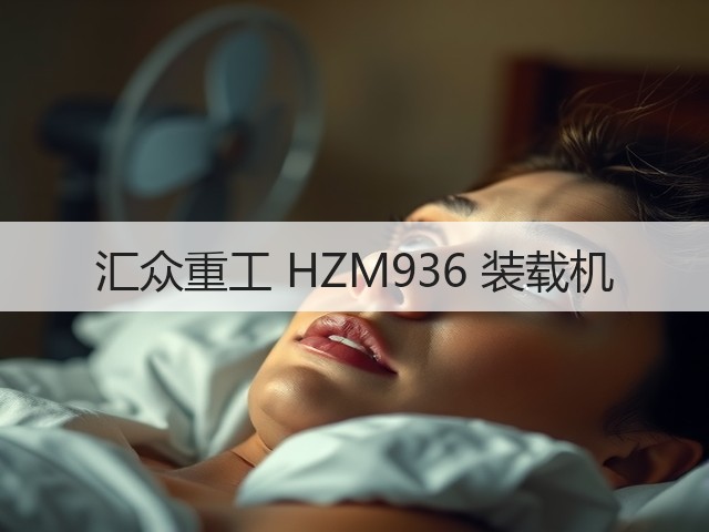 汇众重工 HZM936 装载机(图3)