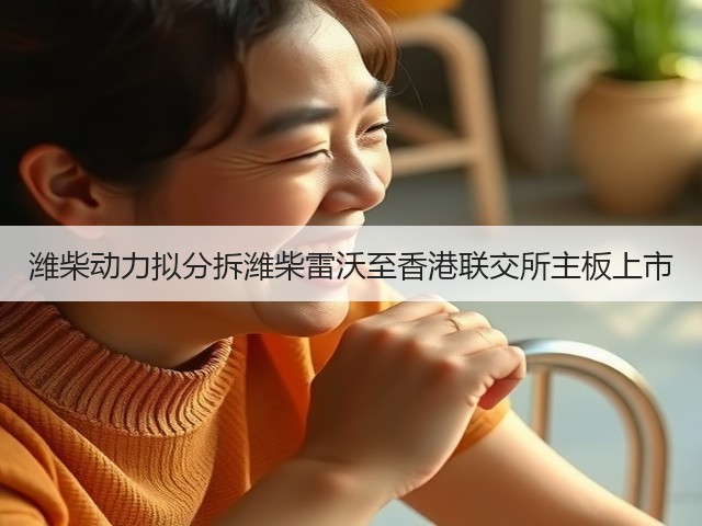 潍柴动力拟分拆潍柴雷沃至香港联交所主板上市(图3) 潍柴动力拟分拆潍柴雷沃至香港联交所主板上市(图3)
