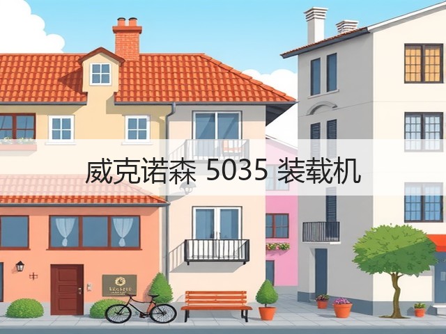 威克诺森 5035 装载机(图2)