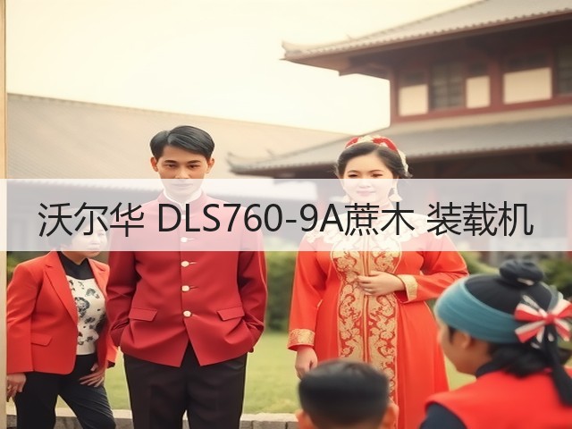 沃尔华 DLS760-9A蔗木 装载机(图2) 沃尔华 DLS760-9A蔗木 装载机(图2)
