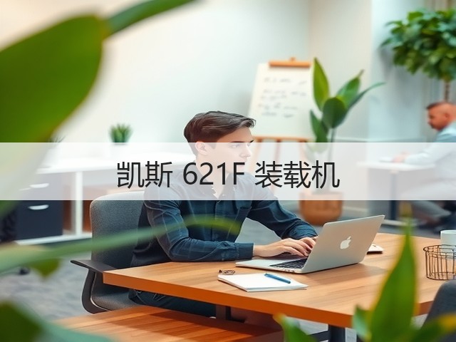 凯斯 621F 装载机(图1) 凯斯 621F 装载机(图1)