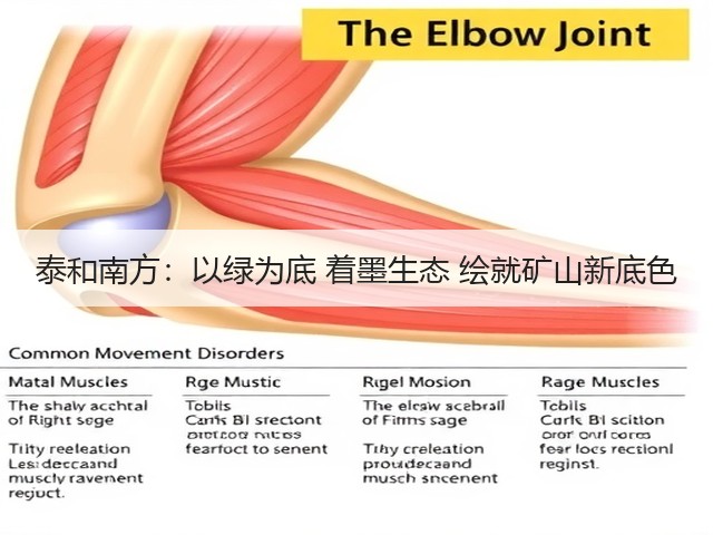 泰和南方:以绿为底 着墨生态 绘就矿山新底色(图2) 泰和南方:以绿为底 着墨生态 绘就矿山新底色(图2)