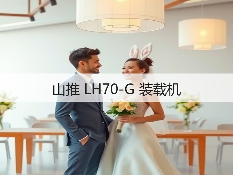 山推 LH70-G 装载机 山推 LH70-G 装载机