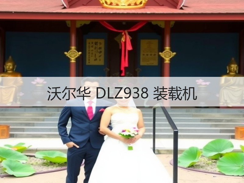 沃尔华 DLZ938 装载机