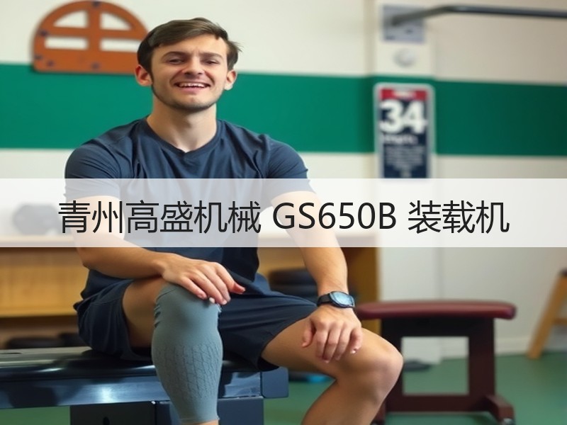 青州高盛机械 GS650B 装载机 青州高盛机械 GS650B 装载机