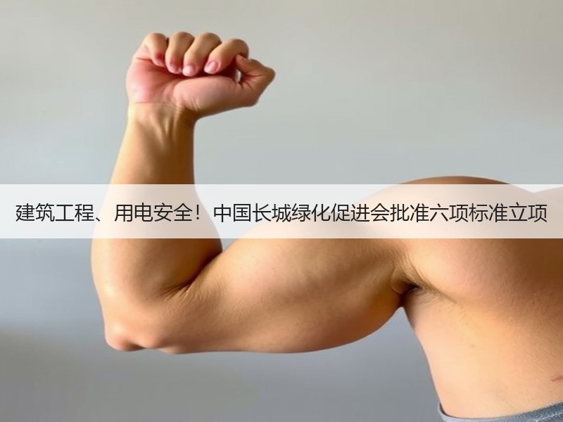 建筑工程、用电安全!中国长城绿化促进会批准六项标准立项 建筑工程、用电安全!中国长城绿化促进会批准六项标准立项