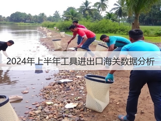 2024年上半年工具进出口海关数据分析(图1) 2024年上半年工具进出口海关数据分析(图1)
