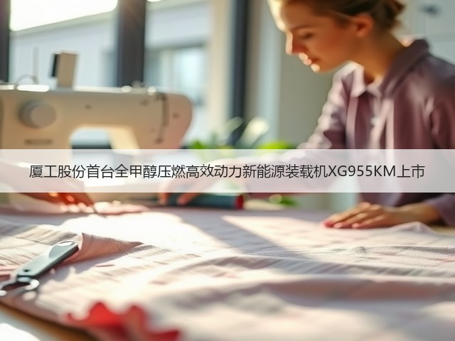 厦工股份首台全甲醇压燃高效动力新能源装载机XG955KM上市(图2) 厦工股份首台全甲醇压燃高效动力新能源装载机XG955KM上市(图2)