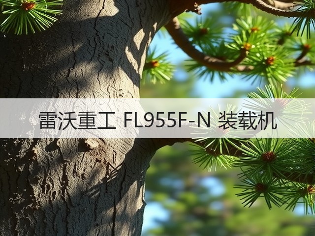 雷沃重工 FL955F-N 装载机(图1) 雷沃重工 FL955F-N 装载机(图1)