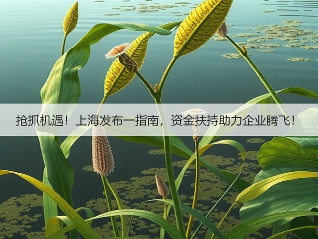 抢抓机遇!上海发布一指南,资金扶持助力企业腾飞!(图1) 抢抓机遇!上海发布一指南,资金扶持助力企业腾飞!(图1)
