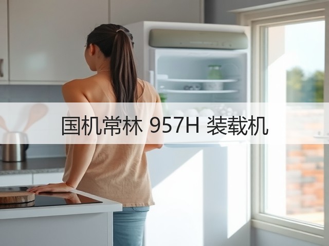 国机常林 957H 装载机(图2) 国机常林 957H 装载机(图2)