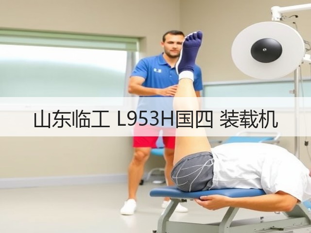 山东临工 L953H国四 装载机(图2) 山东临工 L953H国四 装载机(图2)