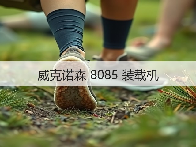 威克诺森 8085 装载机(图2) 威克诺森 8085 装载机(图2)