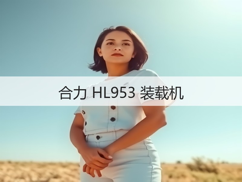 合力 HL953 装载机