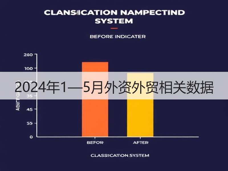 2024年1—5月外资外贸相关数据