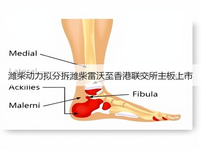 潍柴动力拟分拆潍柴雷沃至香港联交所主板上市(图1) 潍柴动力拟分拆潍柴雷沃至香港联交所主板上市(图1)