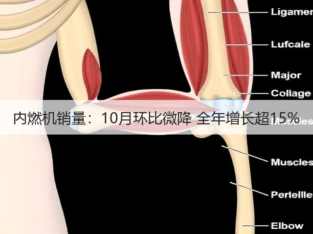内燃机销量：10月环比微降 全年增长超15%(图3)
