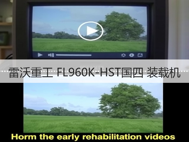 雷沃重工 FL960K-HST国四 装载机(图3) 雷沃重工 FL960K-HST国四 装载机(图3)